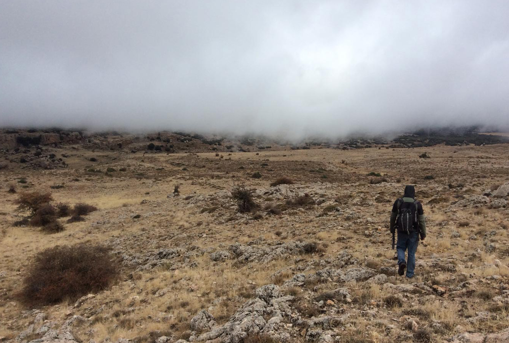 Marc Viaplana and David Cruset doing Fieldwork in Jaén.